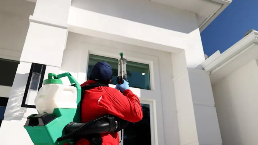 All "U" Need Pest Control Technician Fogging A Home
