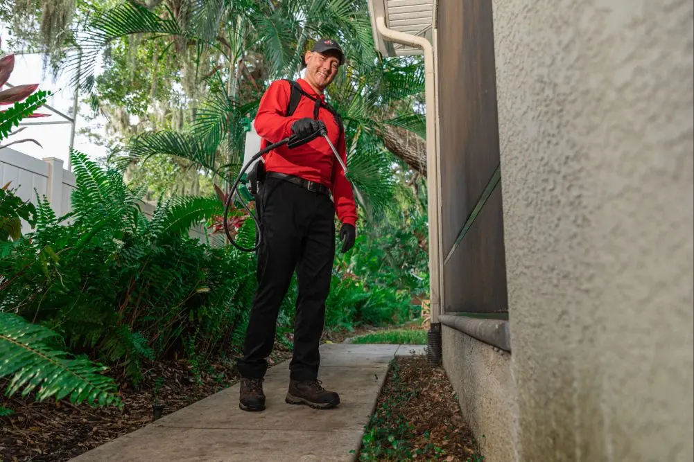 An All U Need Pest Control technician applying a targeted perimeter treatment around the foundation of a home