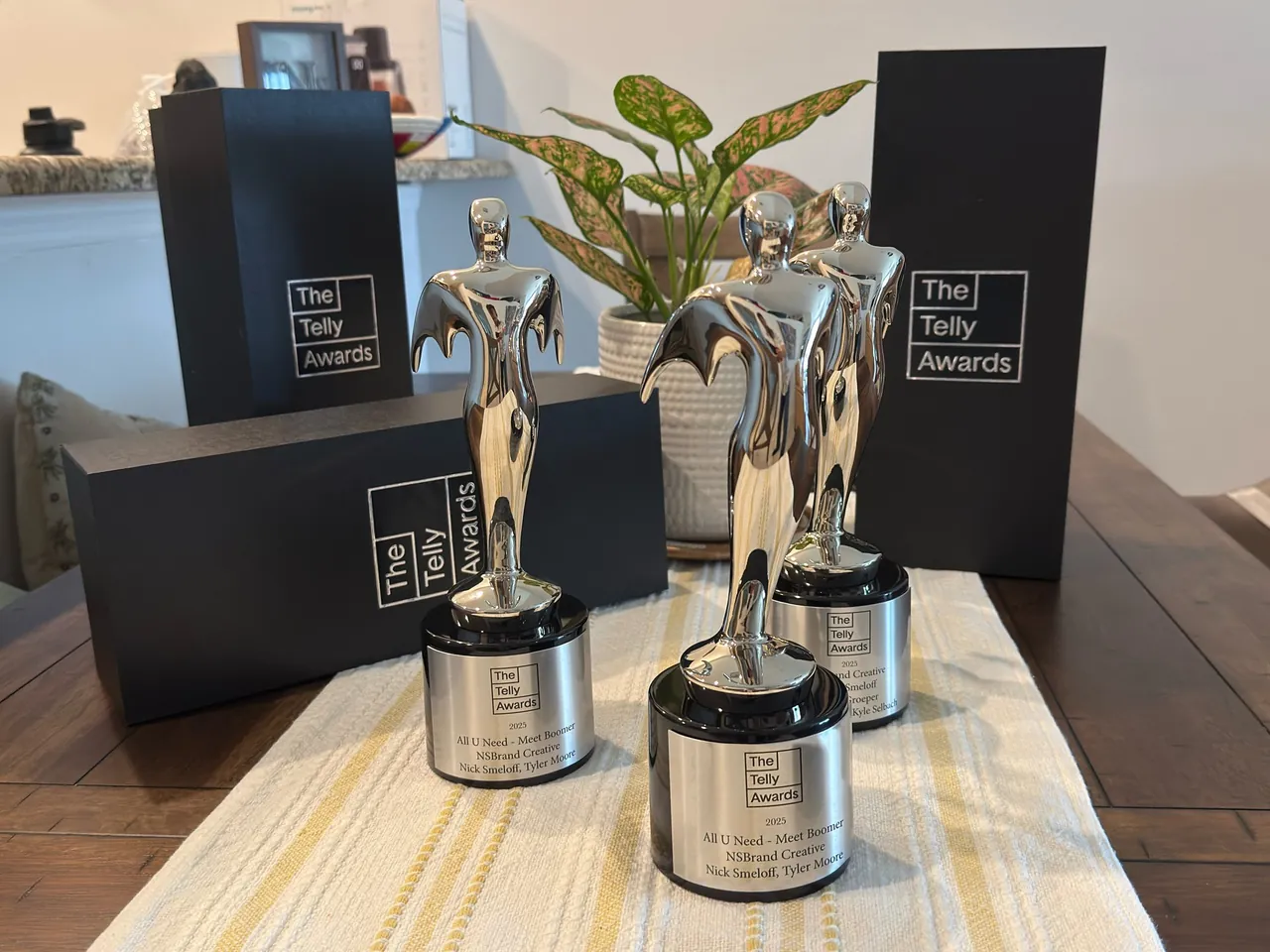 2025 Telly Awards honors received by All U Need Pest Control's brand team